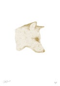 Image of Claire Hartigan<br>A Fixed Gaze (Gold Edition)