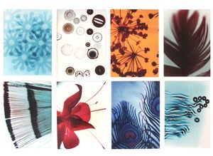 Image of Red Ruby Rose postcard set