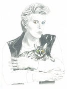 Image of Bowie Cat