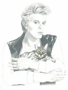 Image of Bowie Cat