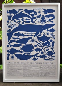Image of Marine Animals Print