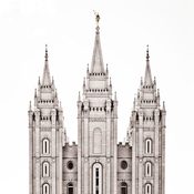Image of SLC Temple Vintage/Non Vintage