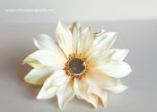 Image of Brass Magnolia 