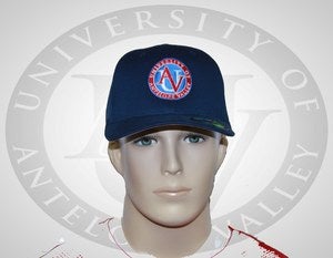 Image of UAV Round Logo Flexfit Hat (Navy)