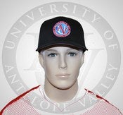 Image of UAV Round Logo Flexfit Hat (Black)