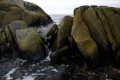 Image of Kent Island - GrandManan,Canada