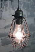 Image of Trouble-Light Cage