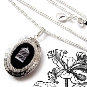 Image of The Empty Birdcage Locket