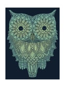 Image of Night-time owl  40x30cm