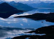 Image of Photograph, 'Morphic Forms #2, Wood-Tikchik' 2001; "BRISTOL BAY" Series