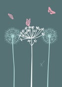 Image of Cow Parsley Print - 14"x11"