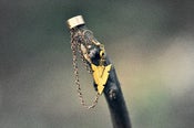 Image of Arrow Ear Cuff/Earring