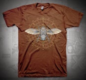 Image of Steam Beetle