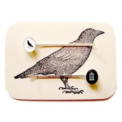 Image of The Bird & the Empty Cage Bobby Pins