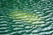 Image of Alex Heim, <i>Untitled (Regents Canal)</i>, 2010