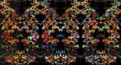 Image of Photograph 'Choose Joy' 2007; "DIGITAL" Series