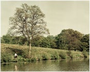 Image of Roebuck