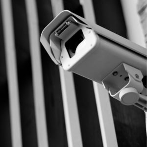Surveillance – CD