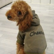Image of Personalised Long-Sleeved Hoodie