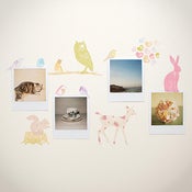 Image of MINI Animaux de la forêt (fille)