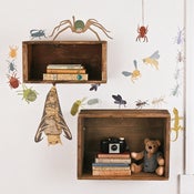 Image of Creepy Crawlies / Mes Petites Bestioles