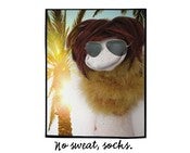 Image of No Sweat