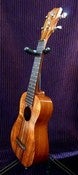 Image of Kelii  Soprano Silver Series friction tuners