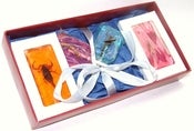 Image of EAT BUGS! CANDY GIFT BOX
