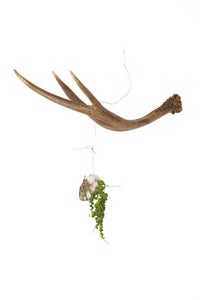Image of Hanger Holder Medium