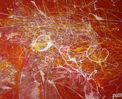 Image of Space Time