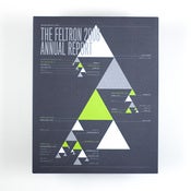 Image of Feltron 2008 Annual Report