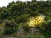 Image of Easteric - "A Fleur de Peau" (photo)