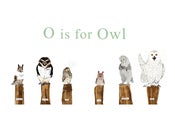 Image of O is for Owl Print