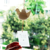 Image of O-Check Spring Dove