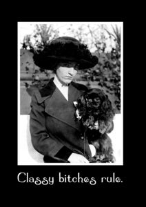 Image of Classy Cavalier