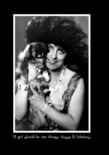 Image of Classy Tibetan Spaniel