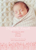 Image of Flowering Fields Birth Announcements