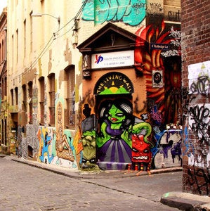 Image of Hosier Lane Living Wall By Esther Hill