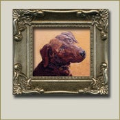 Image of Belle The Dog