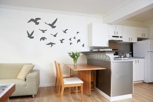 Image of Vinyl Wall Sticker Decal Art - Fly Away Flock of Birds