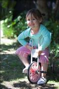 Image of Band it Pants - Stripe Pink 