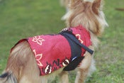 Image of Kimono (Knot) - K16 - Honu Tribal Boy Red Aloha