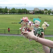 Image of Thelma's Little Ladies - group two