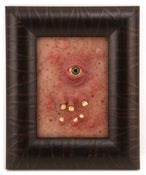 Image of "EYE TOOTH"