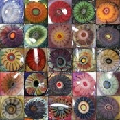 Image of Current Murrini Collection - package of 50