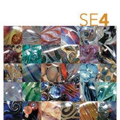 Image of SE4 – Fourth Silver Color How To eBook