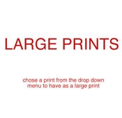 Image of LARGE PRINTS