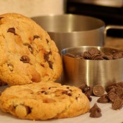 Image of Chocolate Chip/dozen