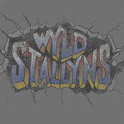 Image of Wyld Stallyns World Tour 