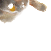 Image of Rats From A Sinking Ship (2009) CD
